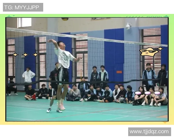 武汉排球队在冠军赛中的团队协作展现出卓越实力与默契配合